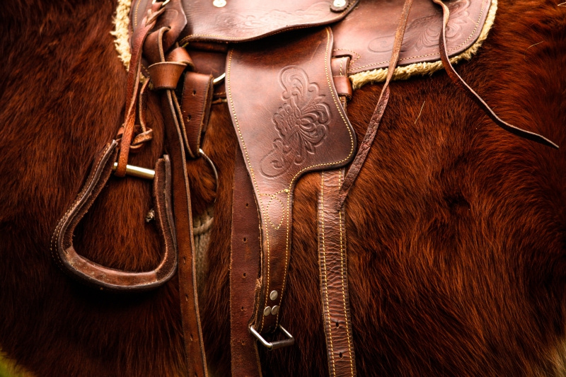 maroquinerie-CARCES-min_saddle-792822